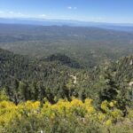 View from Bill Williams Mountain