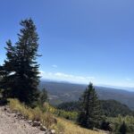 Narrow dirt road on Bill Williams Mountain
